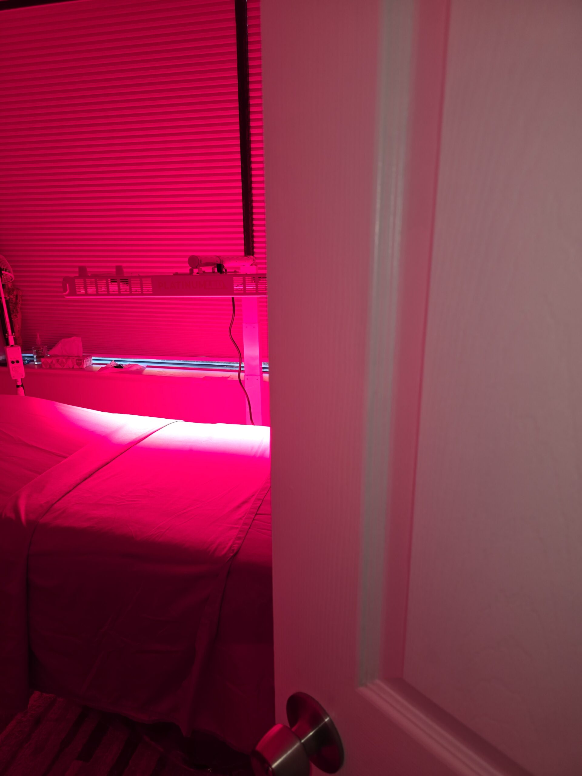 Red light therapy and acupuncture treatment for pain relief and skin health at Yolanda's Massage amd Acupuncture.